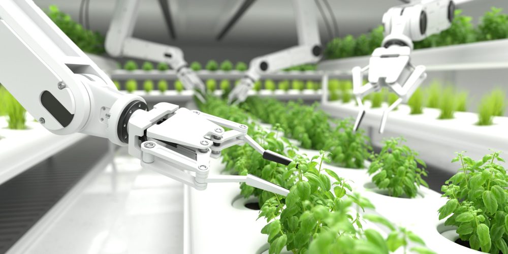 Smart robotic farmers concept, robot farmers, Agriculture technology, Farm automation. 3D illustration